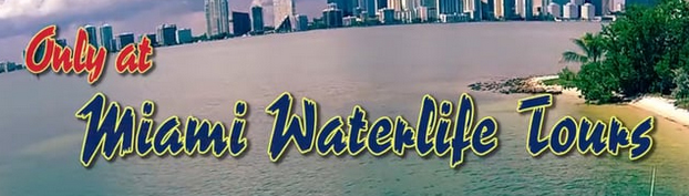 Miami Water Life Tours Inc.
